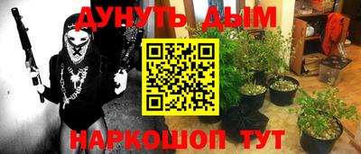 сатива Усть-Илимск