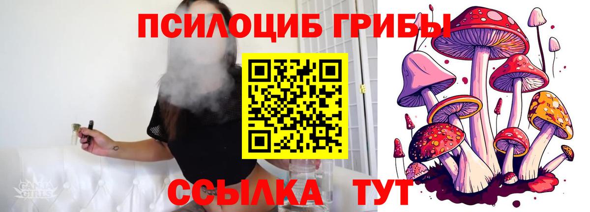 Галлюциногенные грибы мухоморы Псков